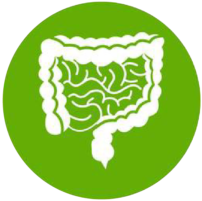 關(guān)注職場“腸”態(tài)，守護(hù)員工健康——上海格瑞特特邀消化內(nèi)科專家公益系列講座（4）(圖1)