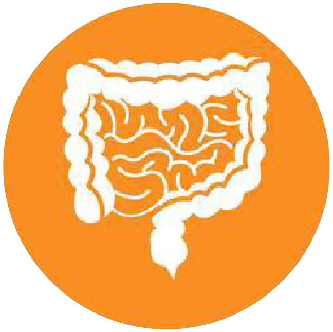 關(guān)注職場“腸”態(tài)，守護(hù)員工健康——上海格瑞特特邀消化內(nèi)科專家公益系列講座（4）(圖4)