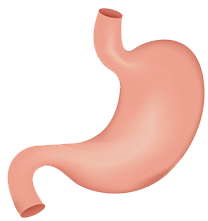 關(guān)注職場“腸”態(tài)，守護(hù)員工健康——上海格瑞特特邀消化內(nèi)科專家公益系列講座（4）(圖9)